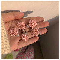 Thumbnail for Chic 5 Pieces Pink Hair Clips Set - ArtGalleryZen
