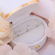 Chic CZ Inlaid Crystal Heart Arrow Of Love Double Ring Floral Ring Set - ArtGalleryZen
