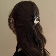 Chic Duo Butterfly Hair Clip - ArtGalleryZen