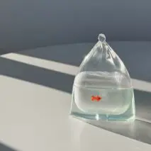 Goldfish AirPods Earphone Case - ArtGalleryZen