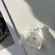 Goldfish AirPods Earphone Case - ArtGalleryZen