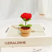 Hand-knitted Potted Crochet Flower - ArtGalleryZen