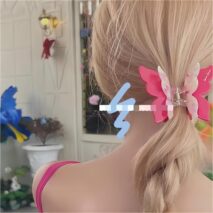 Chic Colorful Duo Butterfly Chignon Claw Clip Hair Clip - ArtGalleryZen