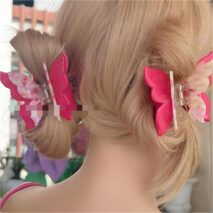 Chic Colorful Duo Butterfly Chignon Claw Clip Hair Clip - ArtGalleryZen