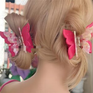 Chic Colorful Duo Butterfly Chignon Claw Clip Hair Clip - ArtGalleryZen