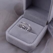 Chic CZ Inlaid Duo Butterfly Ring - ArtGalleryZen
