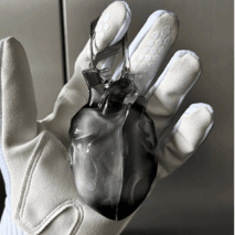 Chic Transparent Heart Liquid Silicone AirPods Earphone Case - ArtGalleryZen
