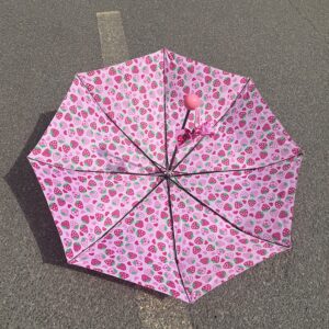 Cute Strawberry Folding Umbrella - ArtGalleryZen