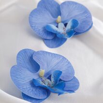 Exaggerated Butterfly Orchid Flower Stud Earrings - ArtGalleryZen