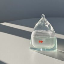 Goldfish AirPods Earphone Case - ArtGalleryZen