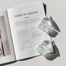 Goldfish AirPods Earphone Case - ArtGalleryZen