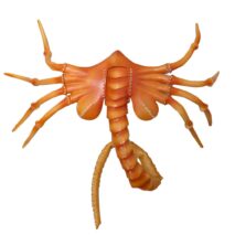 Halloween Scorpion Alien Xenomorph Hugger Face Mask - ArtGalleryZen