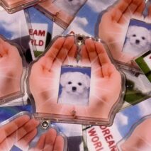 Hold In The Palm Acrylic Keychain Kpop ID Card Photocard Holder - ArtGalleryZen