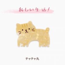 Kawaii Kitten Acetate Acrylic Hair Claw Hair Clip - ArtGalleryZen