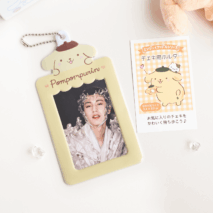 Kawaii Sanrio Kpop Keychain Photocard Holder - ArtGalleryZen