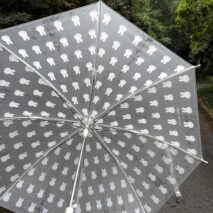 Miffy Frosted Transparent Long Handle Umbrella - ArtGalleryZen