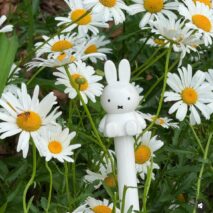 Miffy Frosted Transparent Long Handle Umbrella - ArtGalleryZen