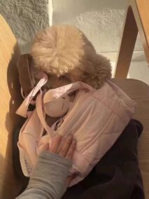 Pink Down-filled Fabric Tote Bag - ArtGalleryZen