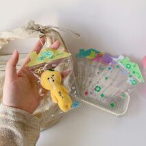 Star House Candy Bag Kpop Keychain Photocard Holder - ArtGalleryZen