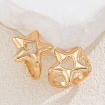 Trendy 2Pcs Star Hollow Heart Open Ring Set - ArtGalleryZen