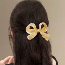 Trendy Chiffon Bowknot Hair Clip - ArtGalleryZen