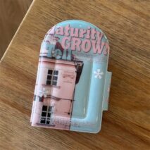 Waffles Strawberry Cake Kpop 3 Inch Mini Photocard Album - ArtGalleryZen