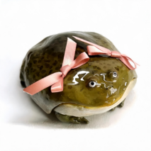 Novel Frog 3D AirPods Earphone Case - Image 2
