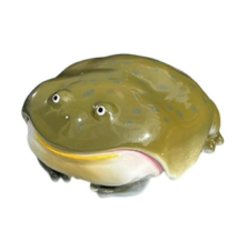 Novel Frog 3D AirPods Earphone Case - Image 4
