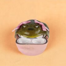 Novel Frog 3D AirPods Earphone Case - Image 7