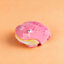Novel Frog 3D AirPods Earphone Case - Image 12