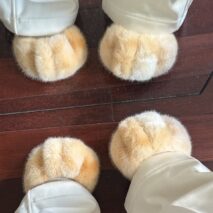 Plush Fuzzy Cat Paw Slippers - Cozy Indoor House Shoes for Women - Image 2