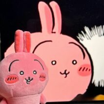 Red Usagi Super Spicy Curry Chiikawa Plush Keychain - Image 5