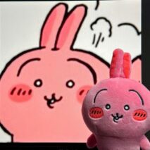 Red Usagi Super Spicy Curry Chiikawa Plush Keychain - Image 6
