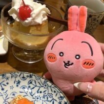 Red Usagi Super Spicy Curry Chiikawa Plush Keychain - Image 7