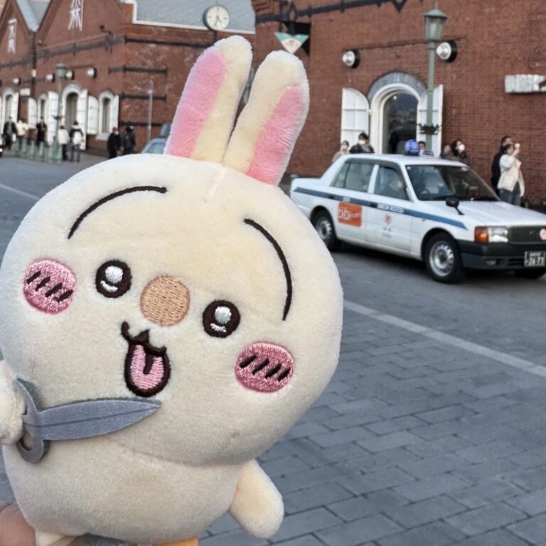 Adorable Usagi Chiikawa Plush Keychain - view 2